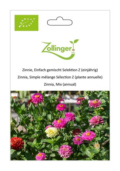 Zinnie, Einfach gemischt Selektion Z (einj�hrig)