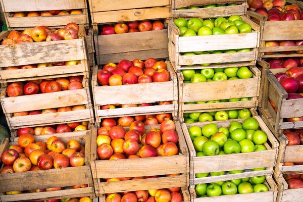 Vari&eacute;t&eacute;s de pommes dans les magasins sp&eacute;cialis&eacute;s