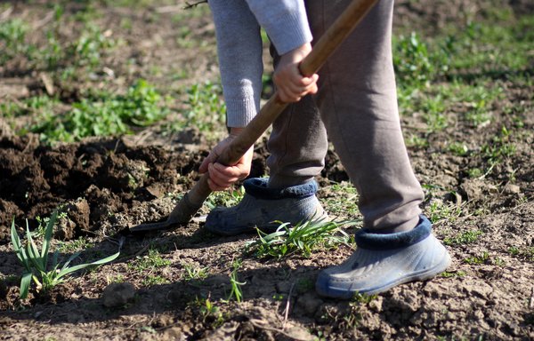 Travail du sol &agrave; la b&ecirc;che, Fertilit&eacute; du sol, Fertilit&eacute; des sols