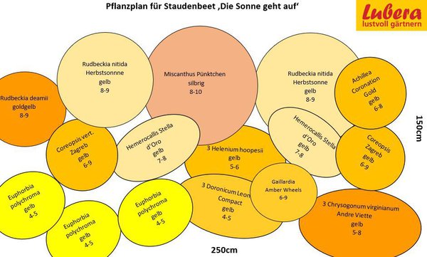 Staudenbeet Skizze Die Sonne geht auf, Lubera