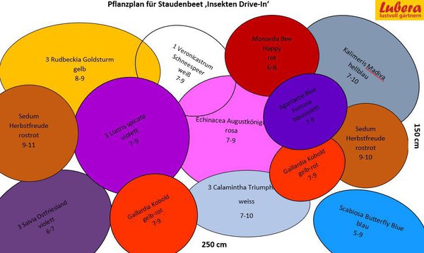 Staudenbeet Pflanzplan Insekten Drive-In 3, Lubera
