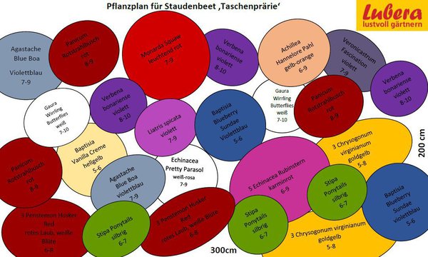 Staudenbeet Pflanzplan Taschenpr&auml;rie, Lubera