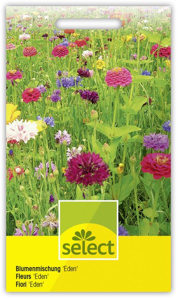 Blumenwiese 'Eden'