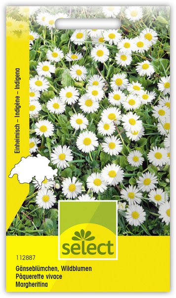 G�nsebl�mchen, Wildblumen, Margritli