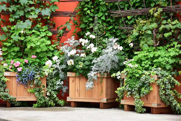 Terrasse, balcon, grands bacs &agrave; fleurs, bacs &agrave; herbes aromatiques