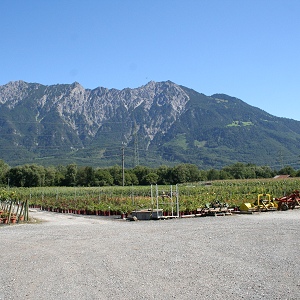 Drei Schwestern im F&uuml;rstentum Liechtenstein
